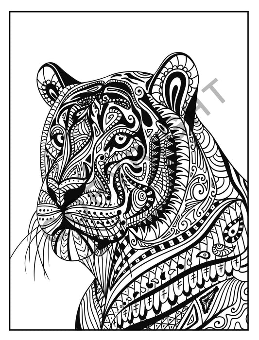 Adult Coloring Books 10 Pack | ANIMALS: Stress Relieving Coloring Books