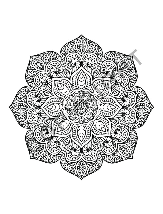 Adult Coloring Books 10 Pack | PATTERNS: Stress Relieving Coloring Books