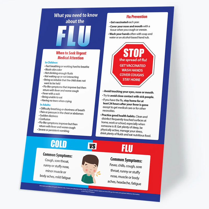 What You Need to Know About the Flu - Laminated Poster - 2 Sizes Available