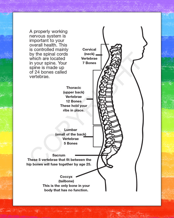 ZoCo - A Visit to The Chiropractor - Coloring & Activity Books