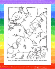 ZoCo - Springtime Friends - Coloring & Activity Books
