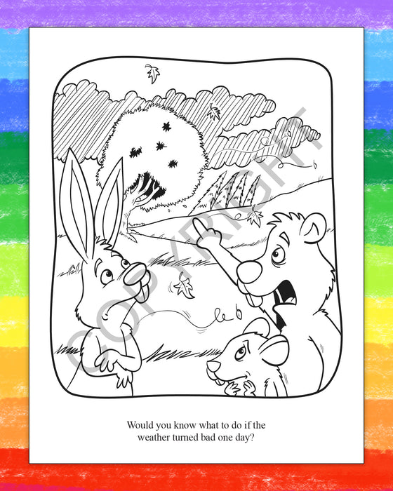 ZoCo - Learning Natural Disaster Safety - Coloring & Activity Books