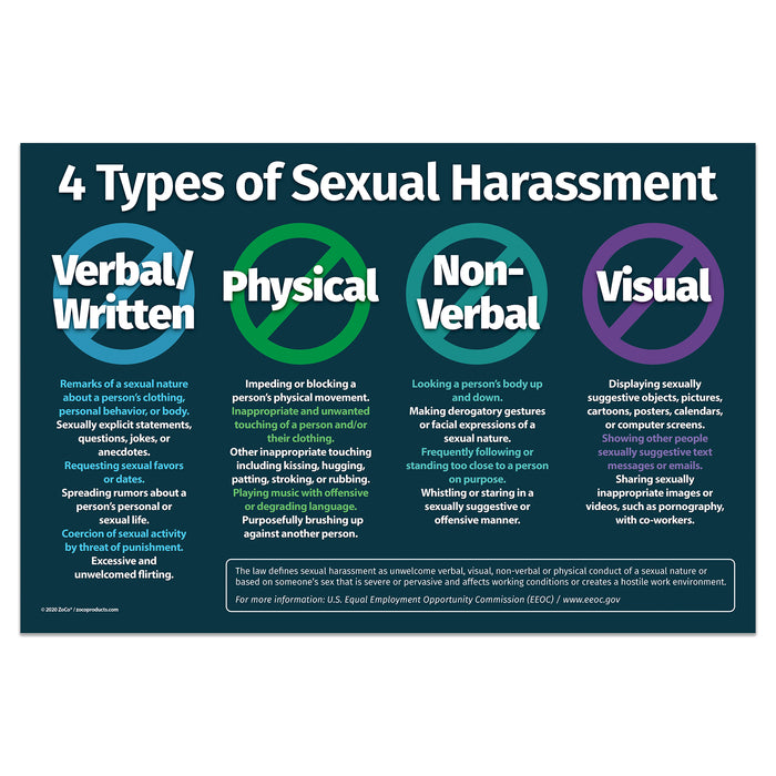 4 Types of Sexual Harassment Workplace Poster - 12"x18" - Laminated