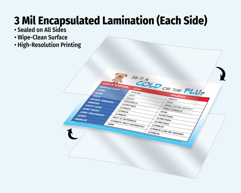 Laminated educational chart with symptoms of a cold and flu on a white background