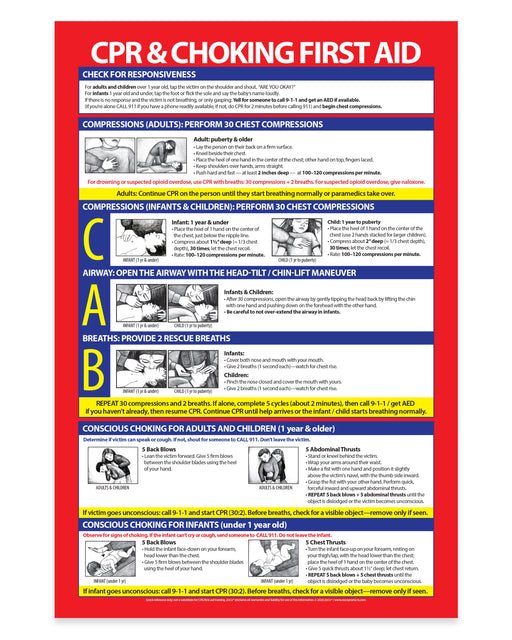 CPR and Heimlich Maneuver — Laminated Poster — 12 × 18
