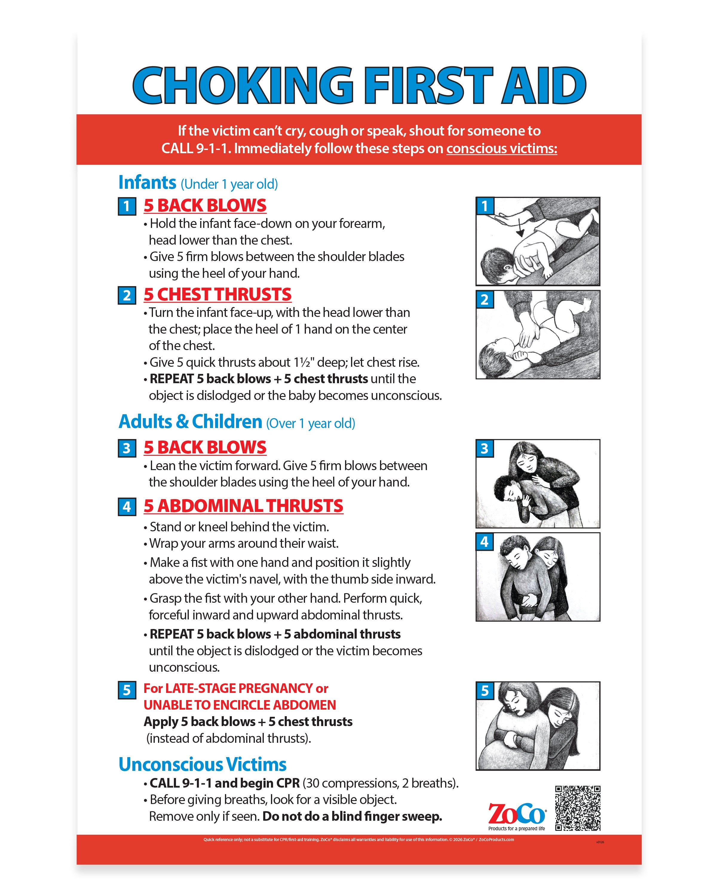 Choking: Heimlich Maneuver for Infants, Children & Adults — Laminated Poster