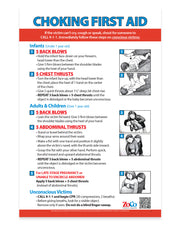 Choking: Heimlich Maneuver for Infants, Children & Adults — Laminated Poster