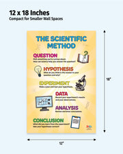 Poster explaining the scientific method with dimensions labeled on a white background