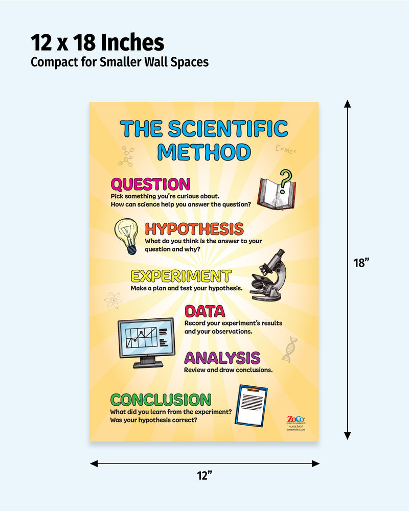 Poster explaining the scientific method with dimensions labeled on a white background