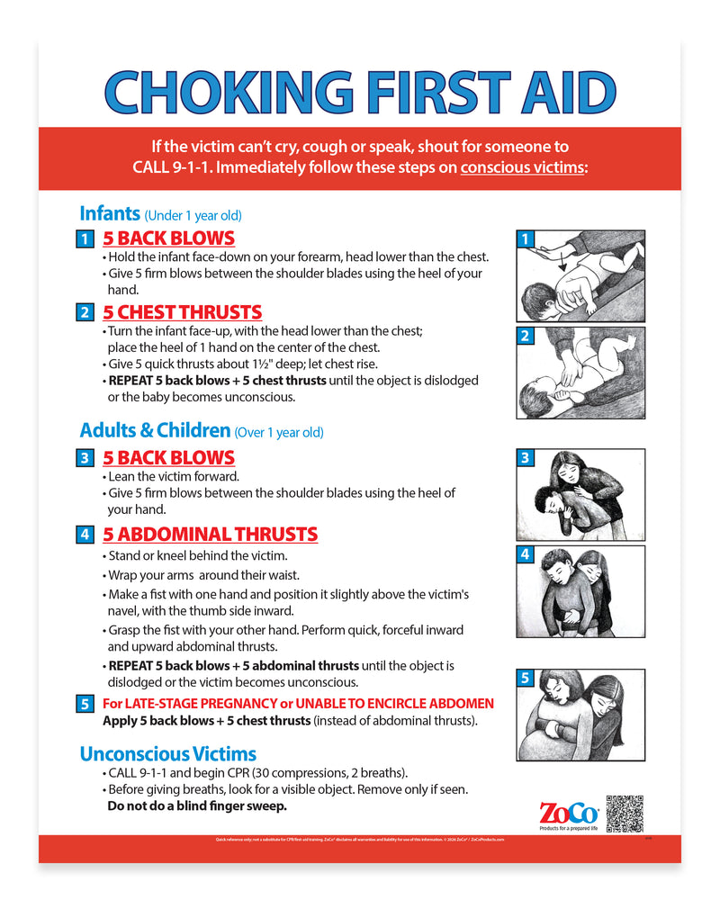 Choking: Heimlich Maneuver for Infants, Children & Adults — Laminated Poster