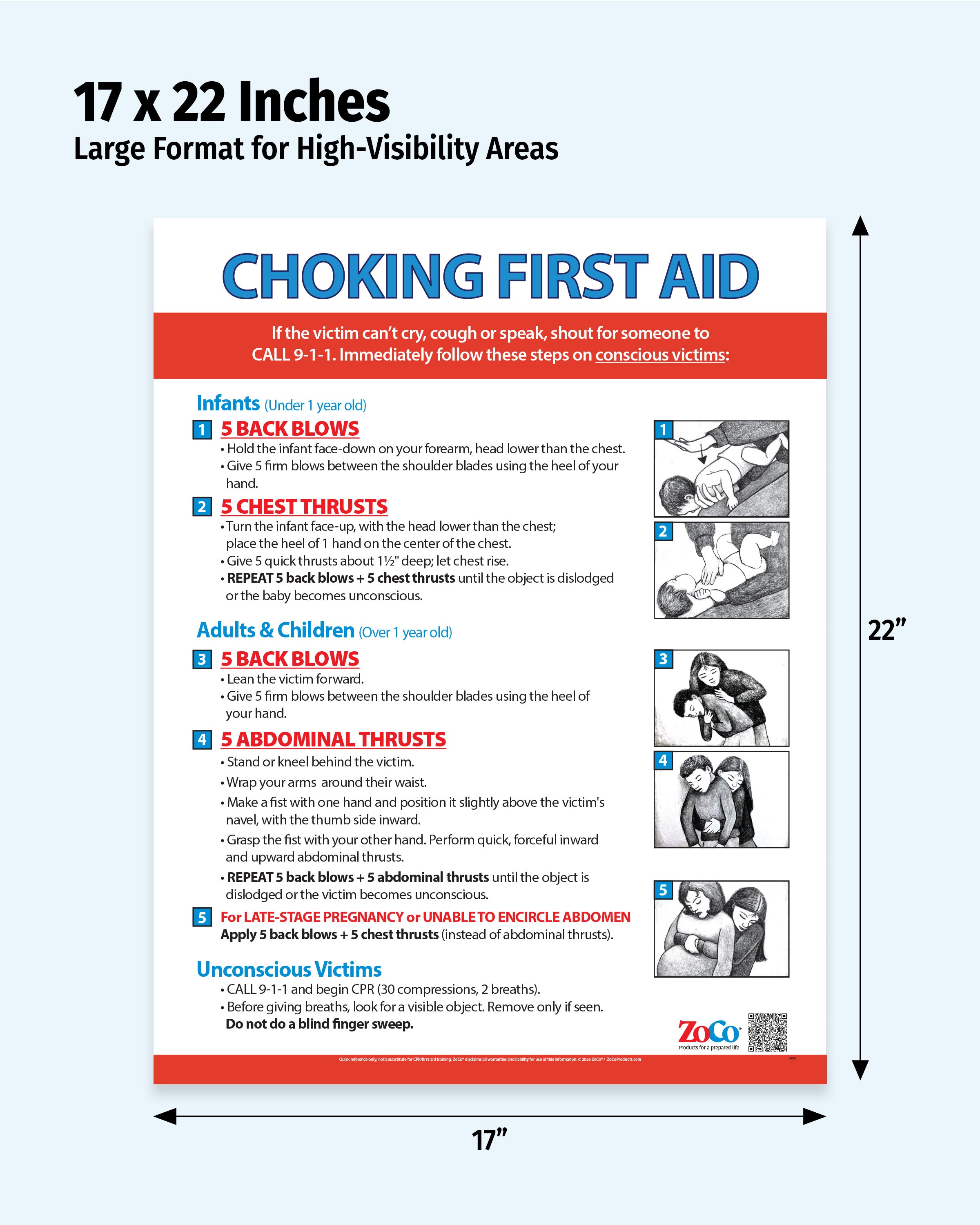 Choking: Heimlich Maneuver for Infants, Children & Adults — Laminated Poster