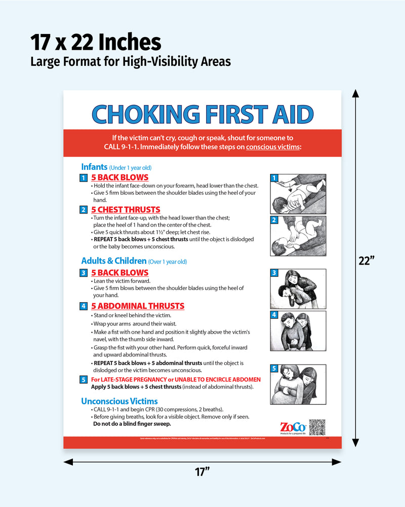 Choking: Heimlich Maneuver for Infants, Children & Adults — Laminated Poster