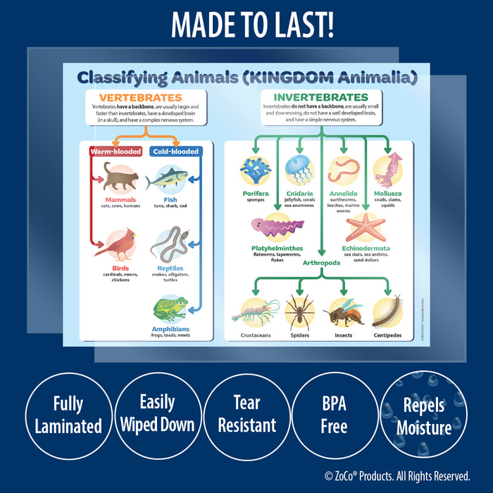 Classification of Animals Biology Poster: Vertebrates & Invertebrates - 17"x22" - Laminated