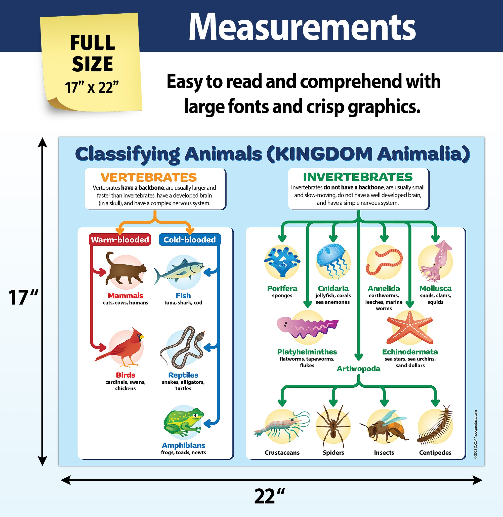 Vertebrates & Invertebrates Poster - 17"x22" - Laminated — ZoCo Products