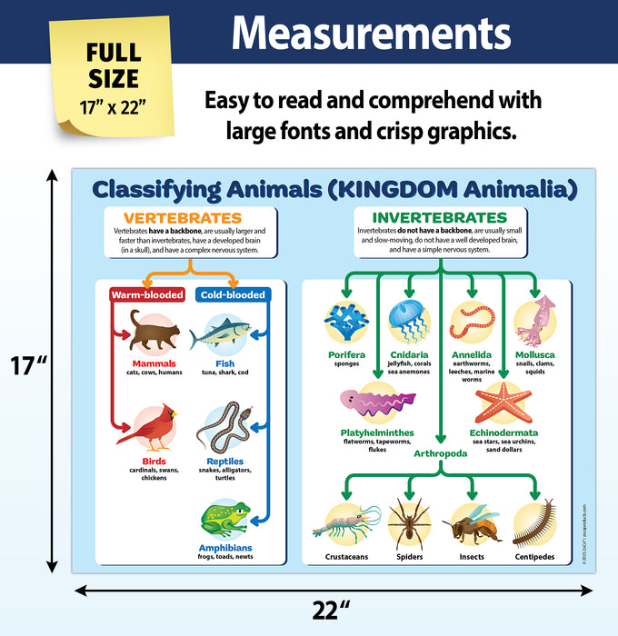 Classification of Animals Biology Poster: Vertebrates & Invertebrates - 17"x22" - Laminated