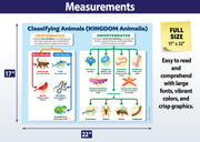 Each poster measures 17 x 22 inches. Easy to read with large fonts and crisp graphics.