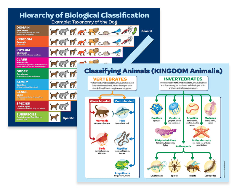 Educational posters on biological classification with animal illustrations.