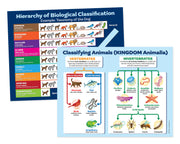 An educational poster titled 'Hierarchy of Biological Classification' showing taxonomic levels with animal illustrations, alongside a second panel titled 'Classifying Animals (Kingdom Animalia)' with vertebrates and invertebrates.