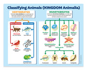 Educational chart classifying animals into vertebrates and invertebrates with illustrations and labels.