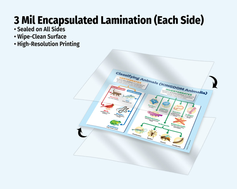 Educational chart on a sheet of 3 mil encapsulated lamination with text detailing features.