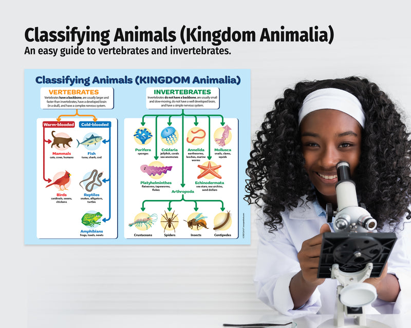 Educational poster on classifying animals with a young scientist holding a microscope.
