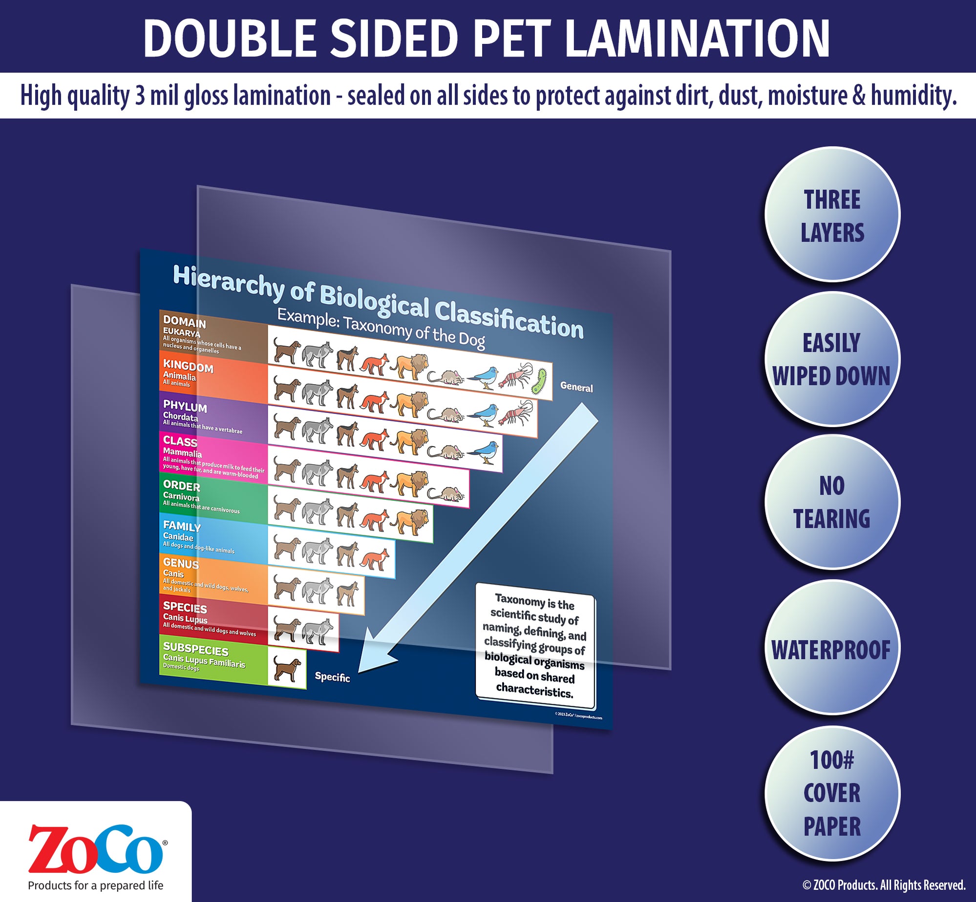 Science Posters - Taxonomy of the Dog - 17