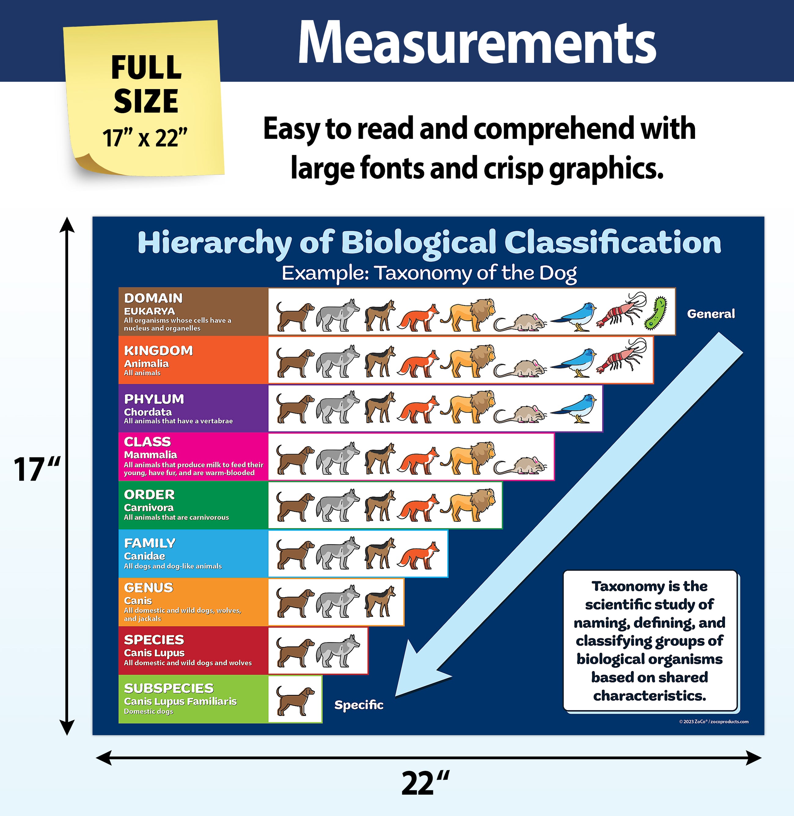 Taxonomy Stickers 2 Science Poster Pack - 17