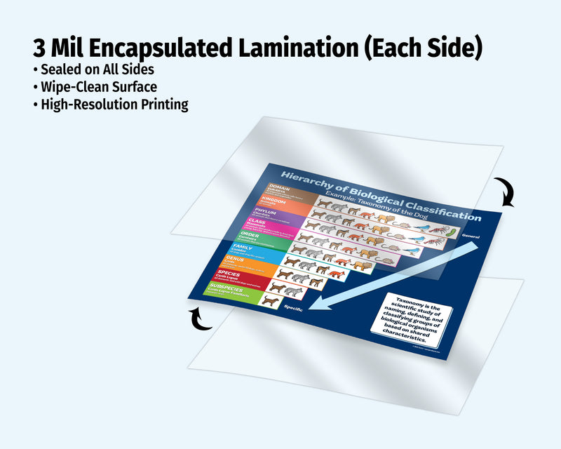 Educational chart on a laminated sheet with text about 3 mil encapsulated lamination.