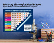 Educational poster on biological classification with a microscope and books in the background.