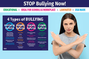 4 Types of Bullying Poster