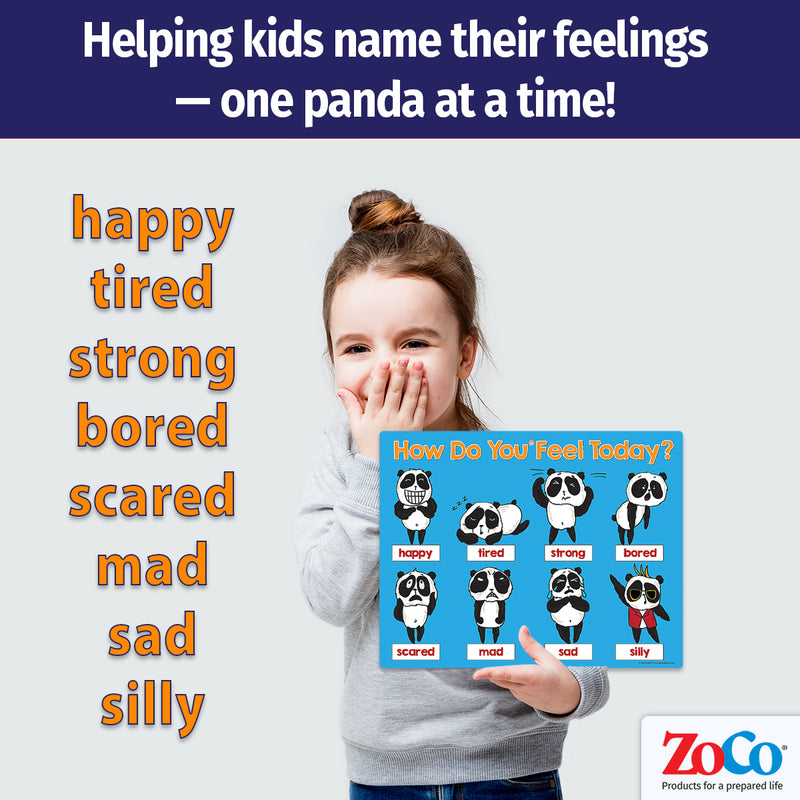 Feelings & Emotions Mood Chart — Laminated Card with Magnets