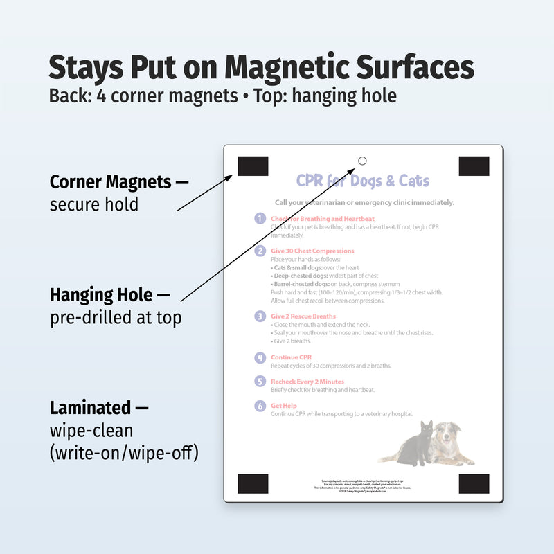 Back of pet CPR card showing four corner magnets, hanging hole and laminated wipe-clean surface