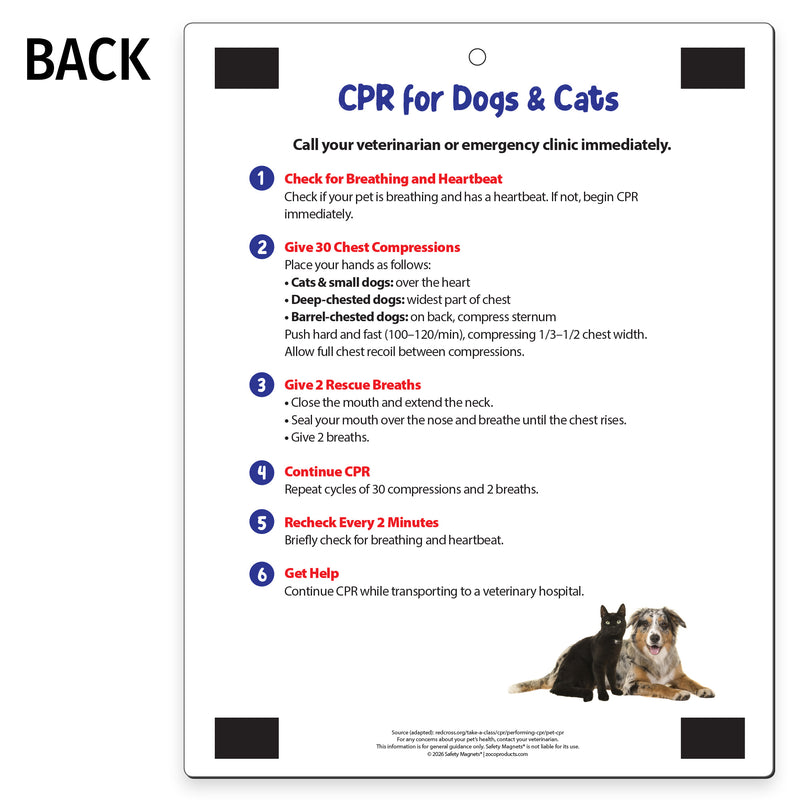 CPR for dogs and cats with step-by-step chest compression and rescue breathing instructions