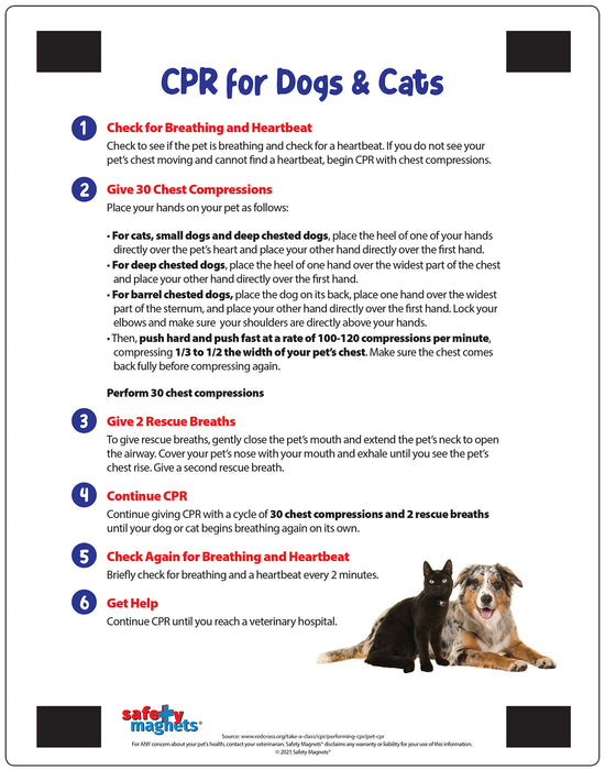 Pet Safety - Quick Reference Card - Add Your Imprint - By Safety Magnets