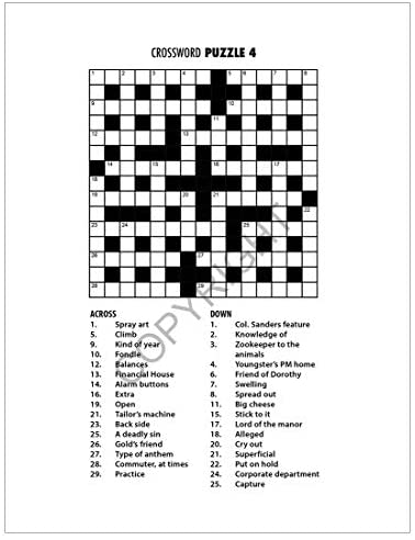 Bulk Large Print Crossword Puzzle Books for Seniors