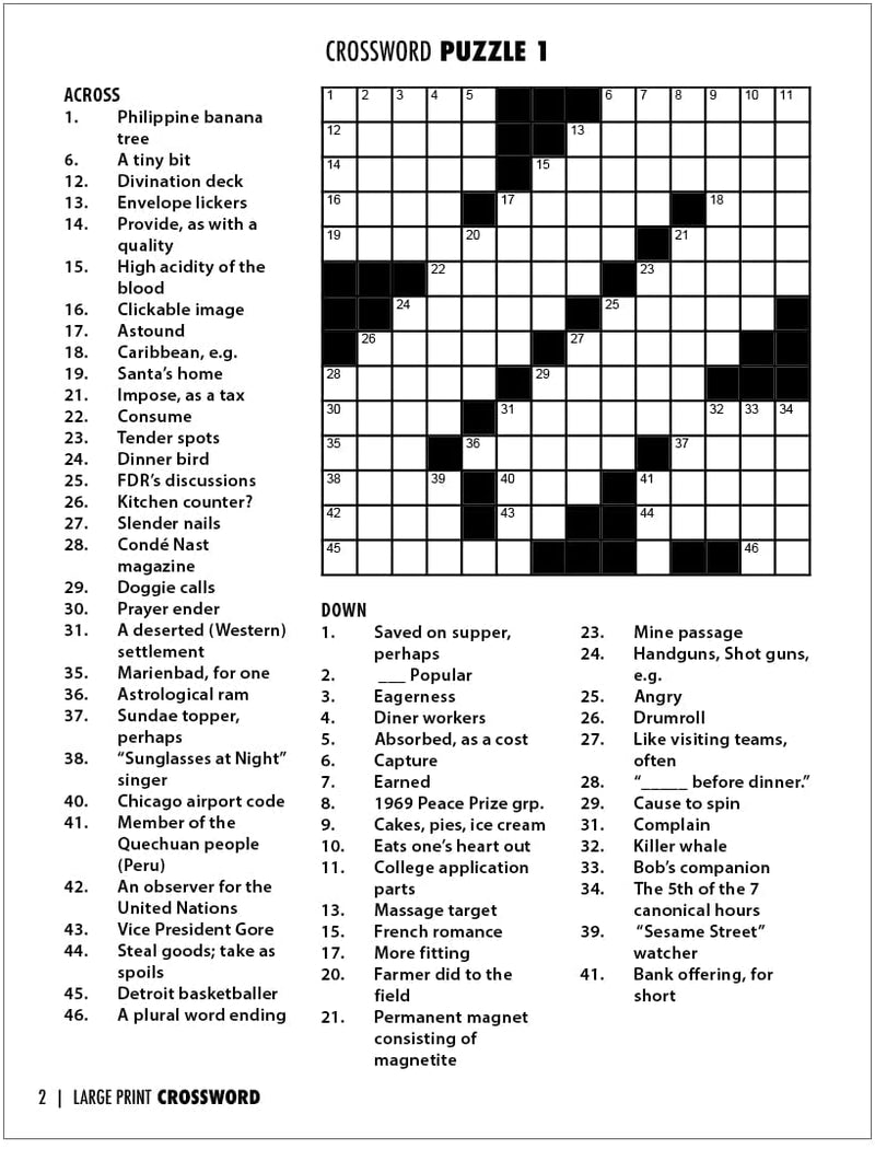 ZoCo Products - Large Print Crossword Puzzle Books in Bulk