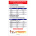 Acetaminophen and Ibuprofen Dosing Chart Magnet - 3.25"x6" - (Min Qty 100)