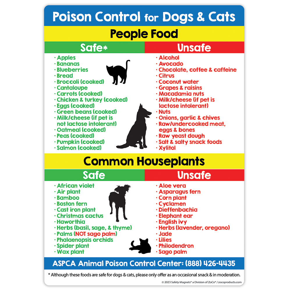 Safe & Toxic Foods & Plants for Dogs and Cats Fridge Magnet - 5x7
