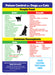 ZoCo - Foods and Plants Toxic to Dogs and Cats - Custom Safety Magnets