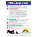 CPR for Dogs & Cats Magnet - 5x7 (Min Qty 100) - FREE Customization