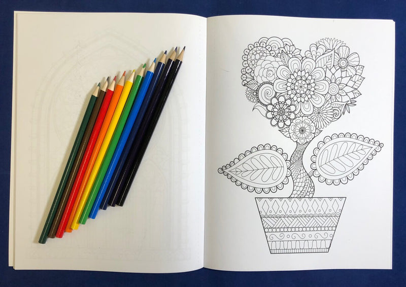 Brighter Minds - Coloring Pages, Word Search, Crossword & Sudoku Puzzles - Large Print Puzzle Books