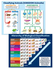 2 Science Poster Pack: Taxonomy of the Dog and Animal Classification - 17"x22" - Laminated