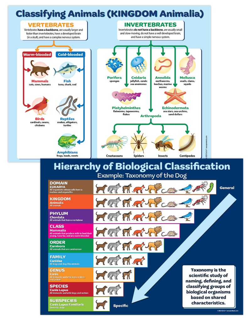 2 Science Poster Pack: Taxonomy of the Dog and Animal Classification - 17"x22" - Laminated