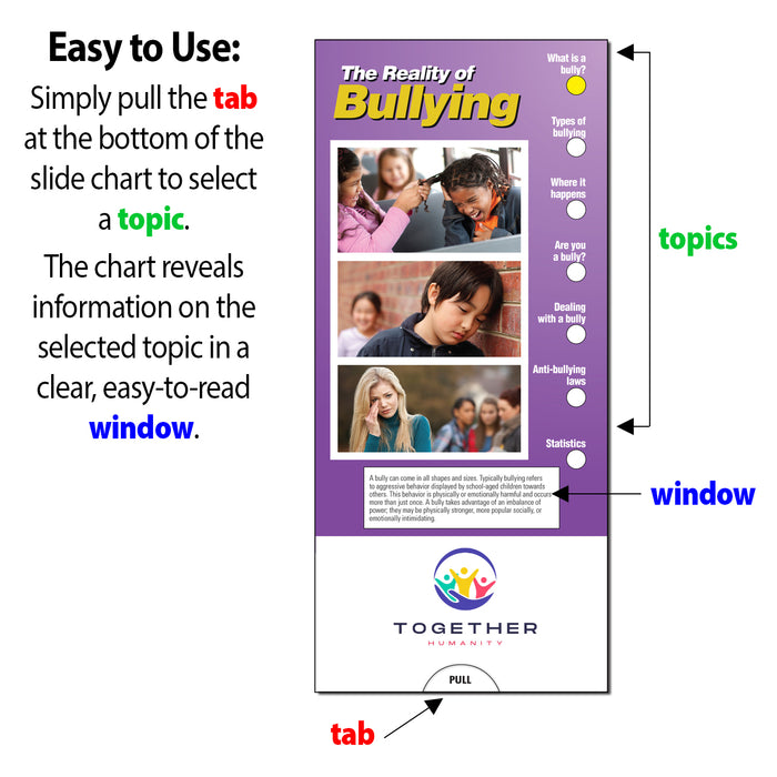 Reality of Bullying Slide Charts (Qty 250) - Customize with Your Imprint