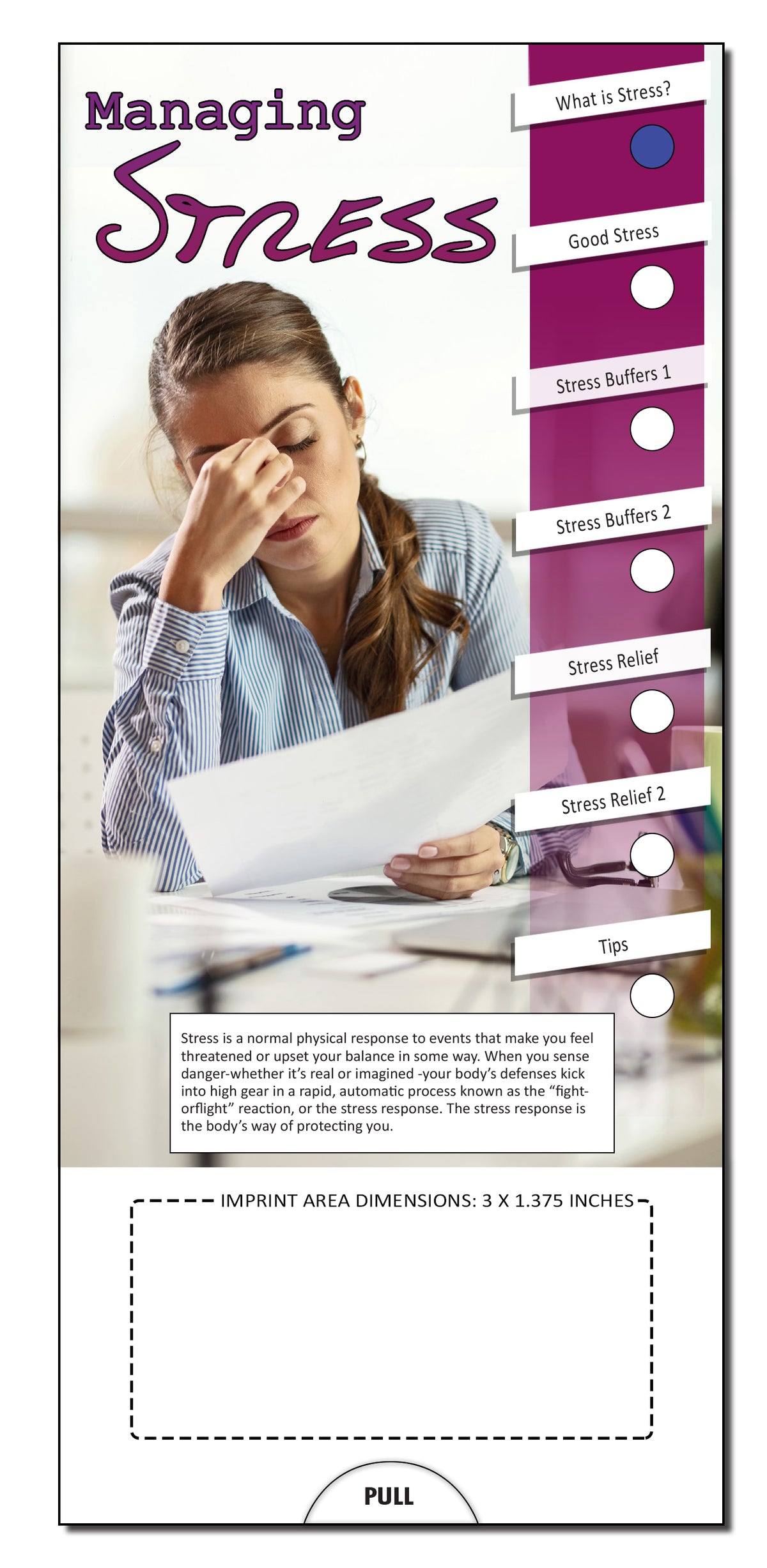 Managing Stress Slide Charts - Add Your Imprint on 250+ — ZoCo Products