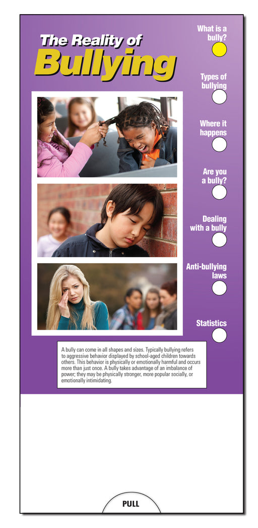 Reality of Bullying Slide Charts (Qty 250) - Customize with Your Imprint