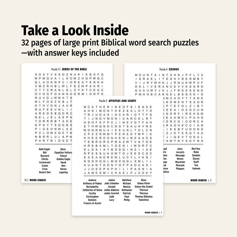 Pages from a book with large print Biblical word search puzzles on a white background.