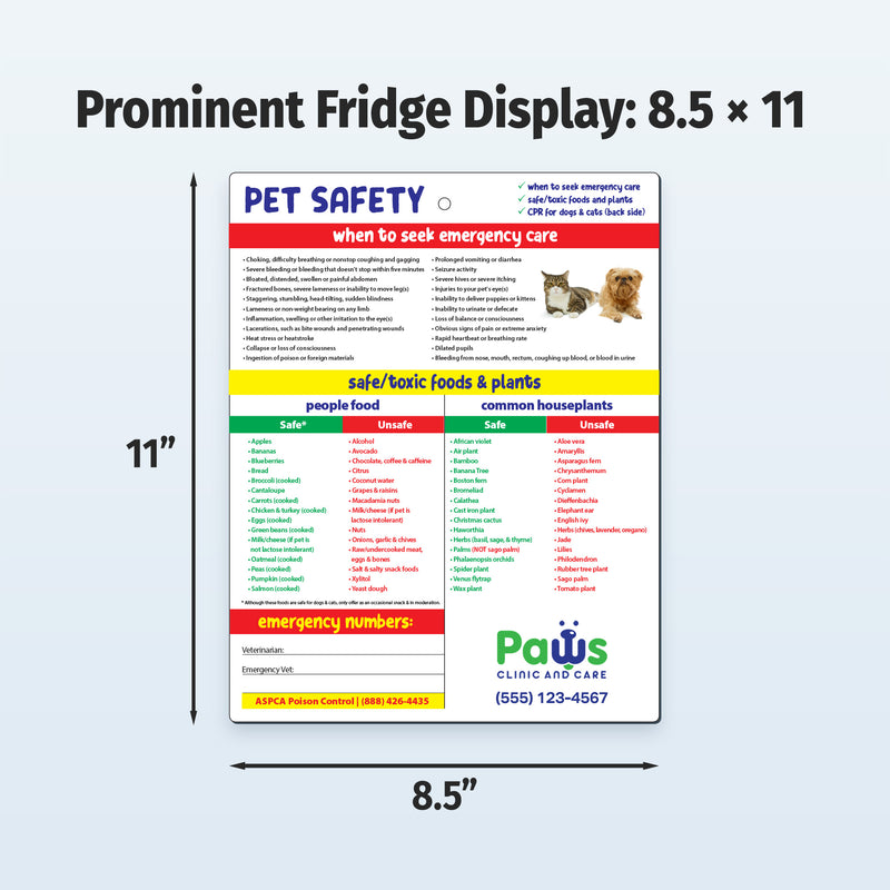 Pet safety chart with dimensions and Paws Clinic and Care branding on a light blue background