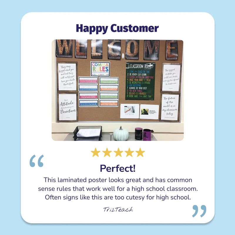 Classroom Rules - Laminated Poster - 17"x22"