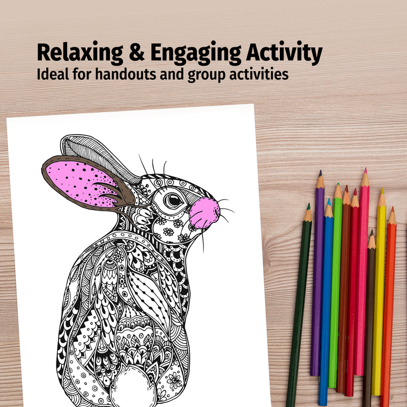 ANIMALS - Adult Stress Relieving Coloring Books in Bulk